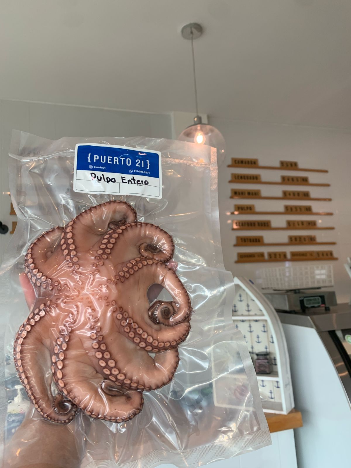 Pulpo