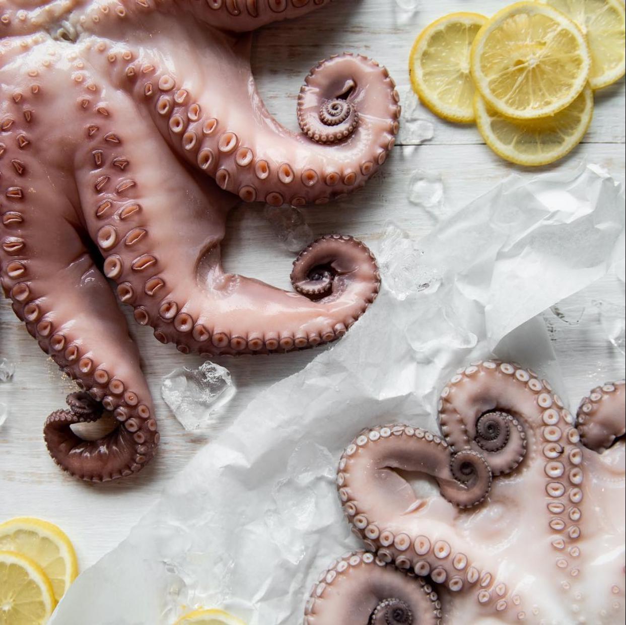 Pulpo